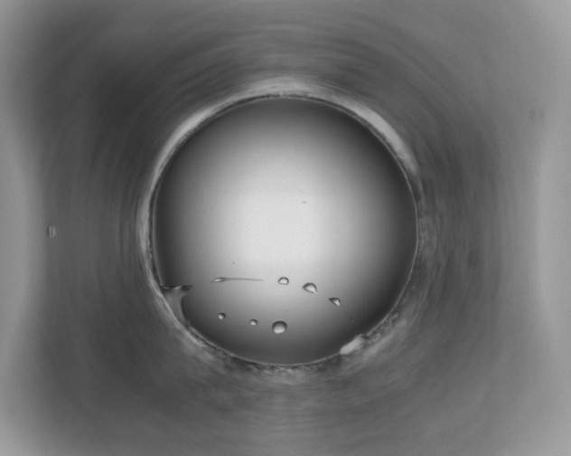 X0000110730815200906121447