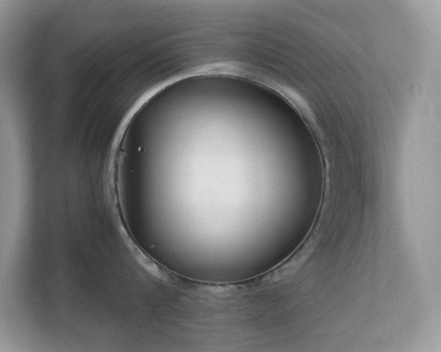 X0000110730816200906121447