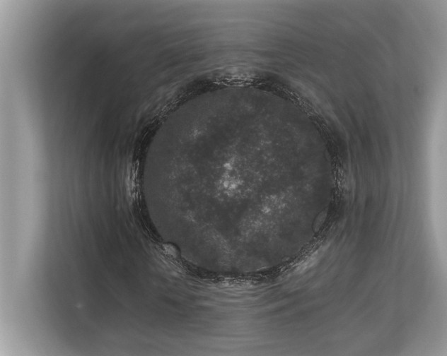 X0000110730818200906121446