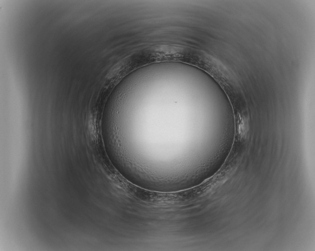 X0000110730819200906121446