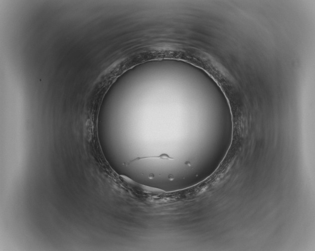 X0000110730821200906121446