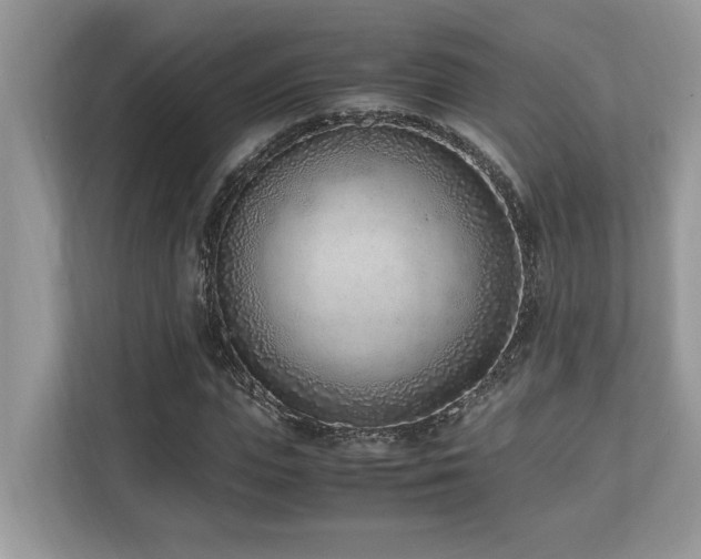 X0000110730823200906121446