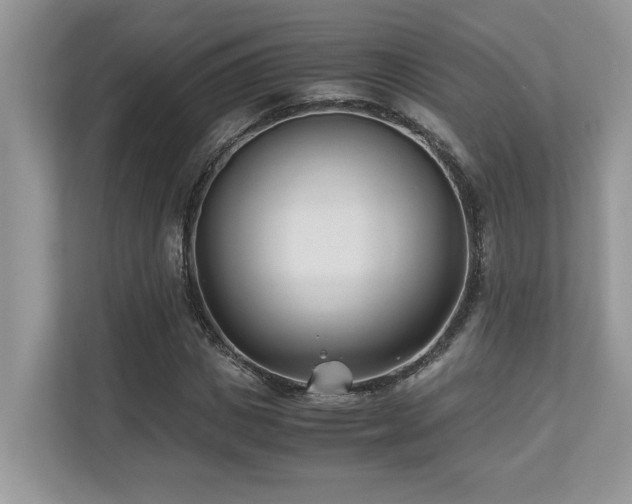 X0000110730825200906121446
