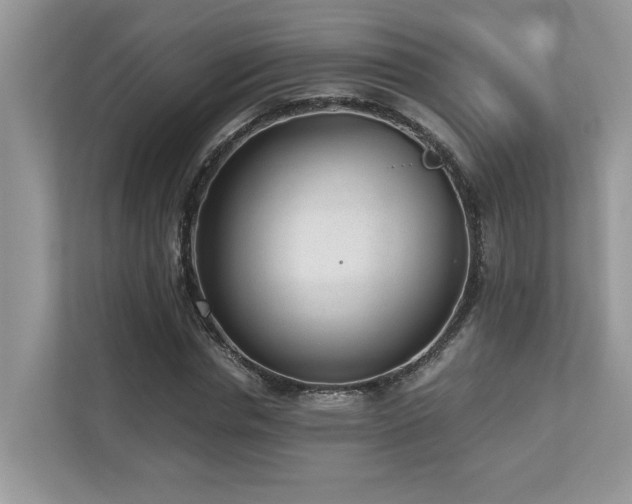 X0000110730826200906121446