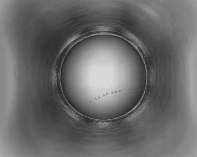 X0000110730827200906121446