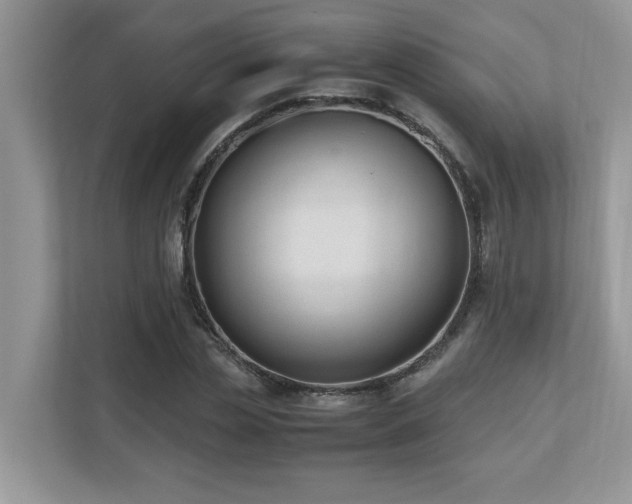 X0000110730829200906121446