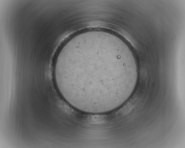 X0000110730832200906121447