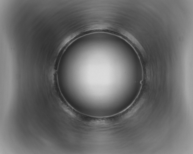 X0000110730834200906121447