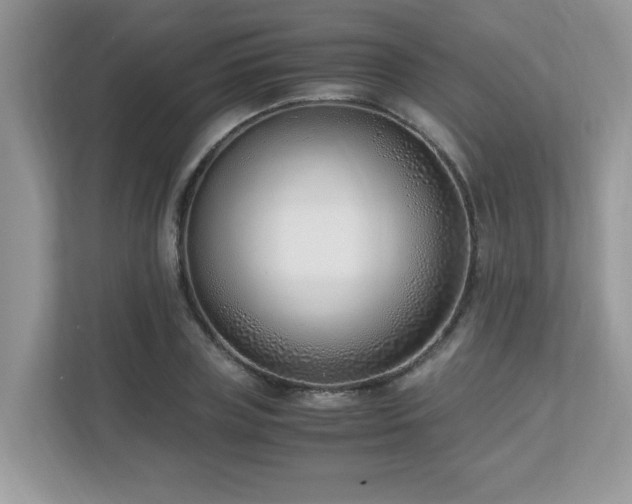X0000110730835200906121447