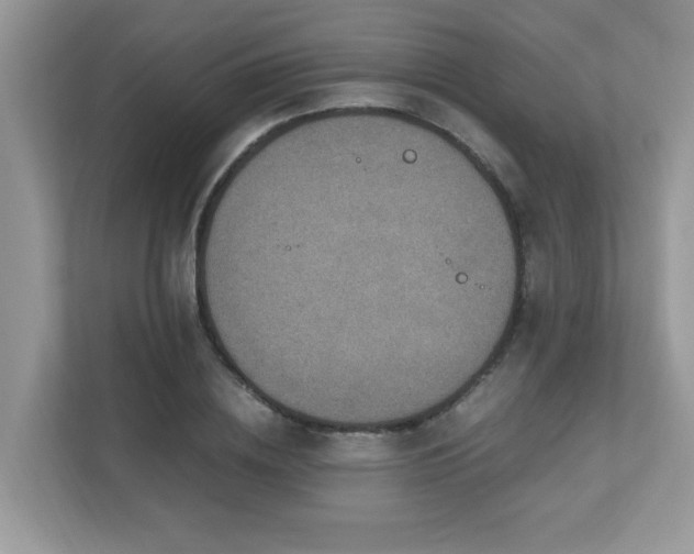 X0000110730836200906121447