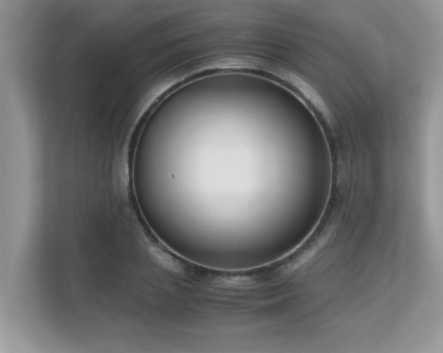 X0000110730837200906121447