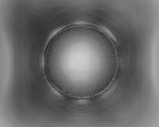 X0000110730839200906121447