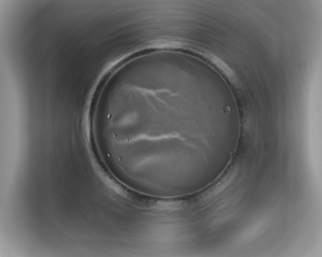 X0000110730840200906121447