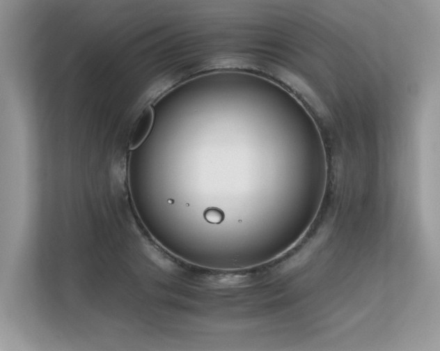 X0000110730841200906121447