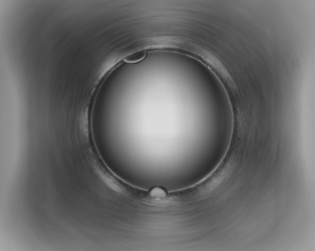 X0000110730842200906121447