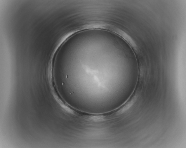 X0000110730844200906121447