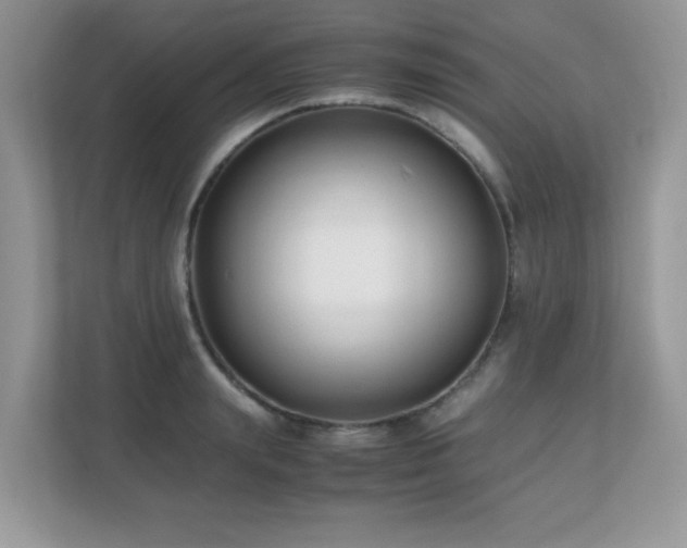 X0000110730847200906121447