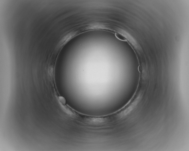X0000110730849200906121447