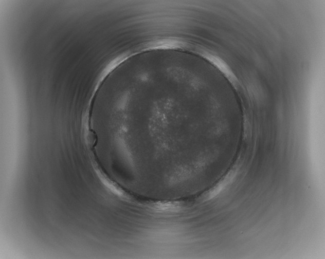 X0000110730850200906121447