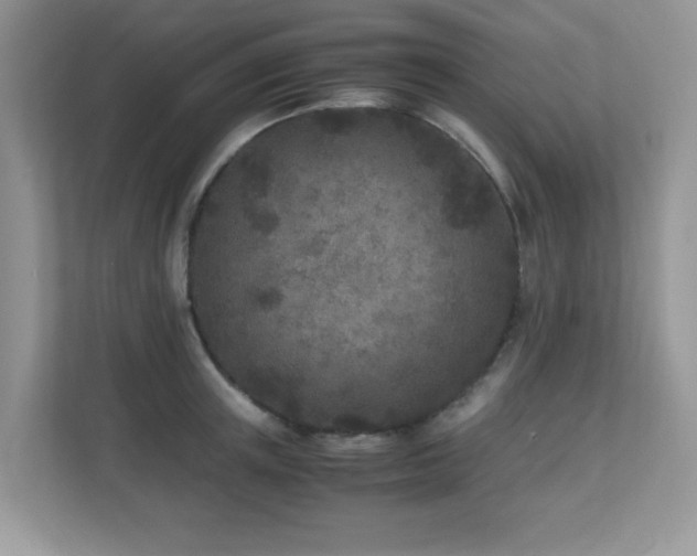 X0000110730851200906121447