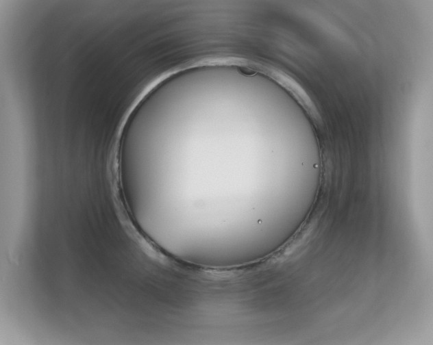 X0000110730852200906121447