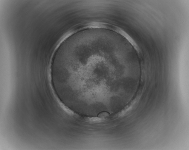 X0000110730853200906121447
