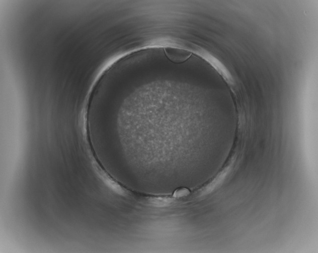 X0000110730854200906121447
