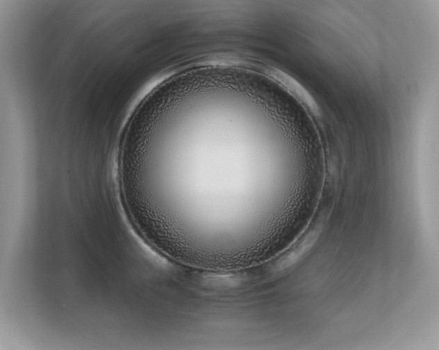 X0000110730855200906121447