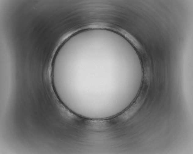 X0000110730856200906121447