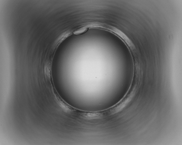 X0000110730857200906121447