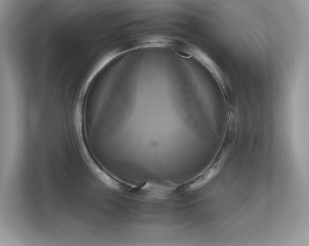 X0000110730859200906121447