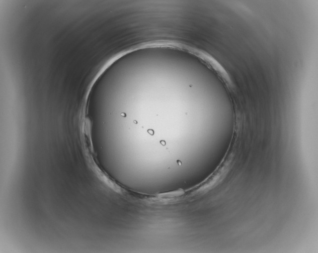 X0000110730860200906121447