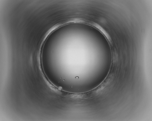 X0000110730861200906121447