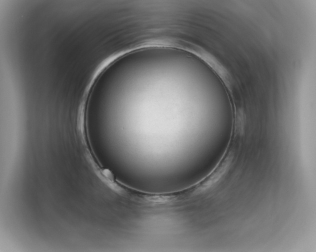 X0000110730862200906121447