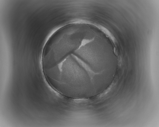 X0000110730863200906121447