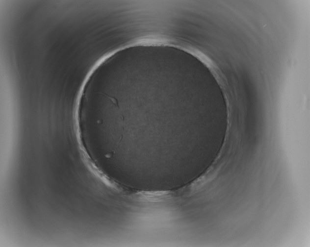 X0000110730864200906121447