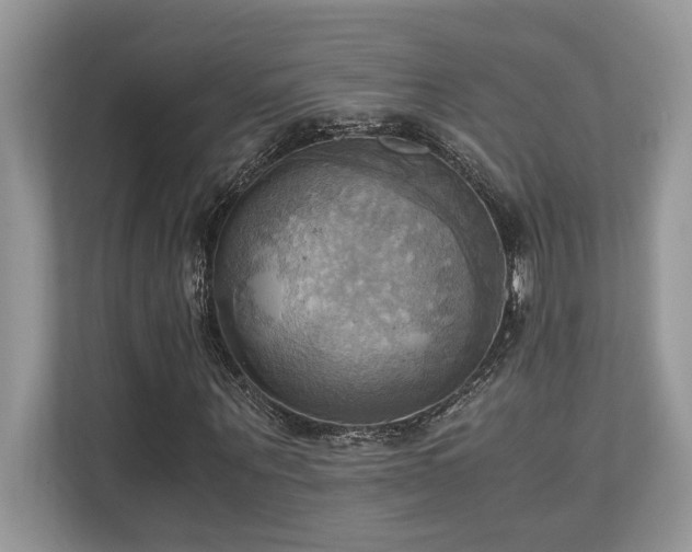 X0000110730867200906121446
