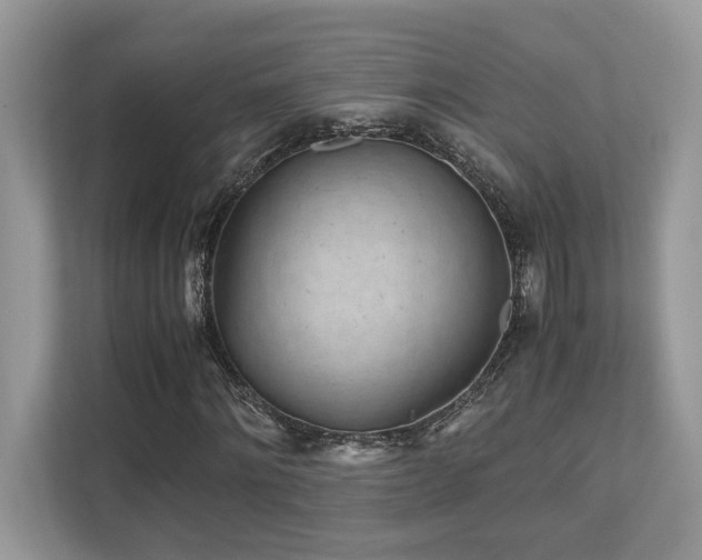 X0000110730868200906121446