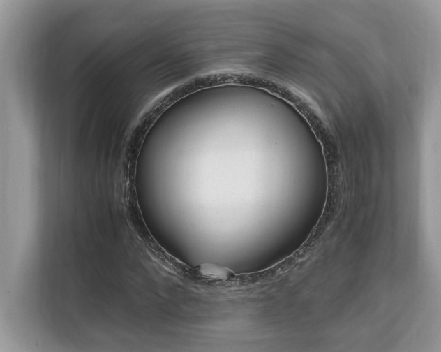 X0000110730872200906121446