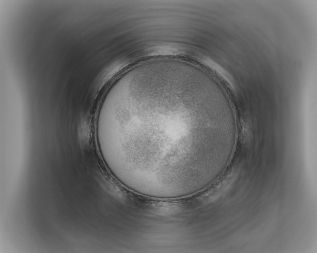 X0000110730874200906121446