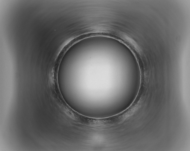 X0000110730875200906121446