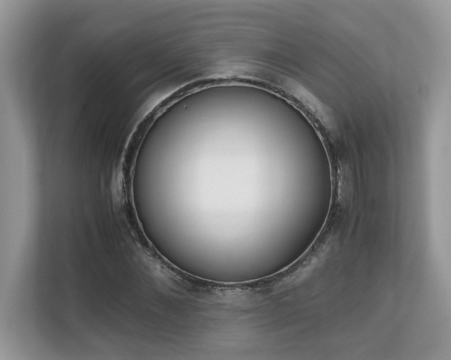 X0000110730876200906121446