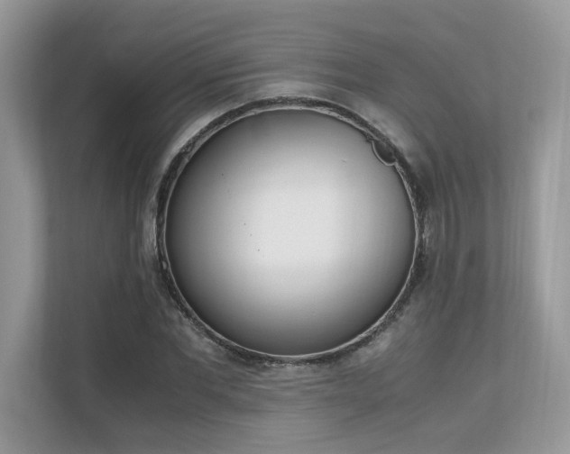 X0000110730877200906121446