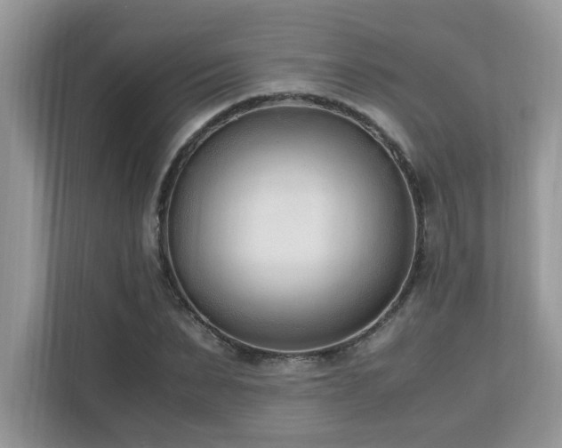 X0000110730879200906121446
