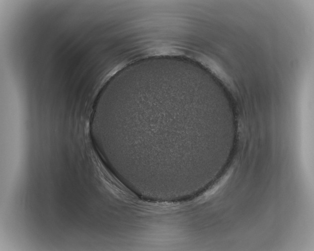 X0000110730881200906121446