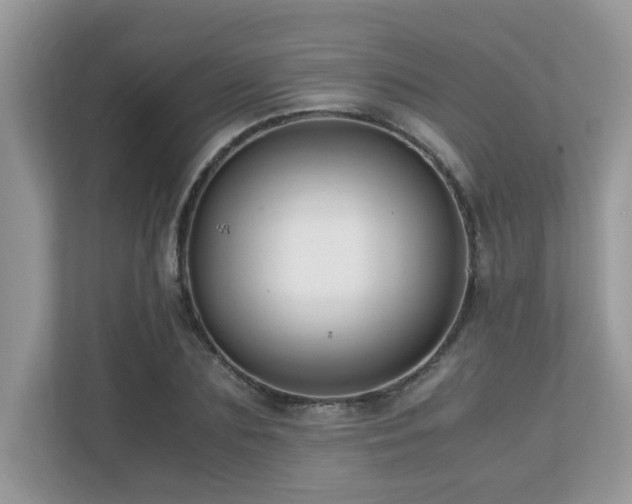 X0000110730883200906121446