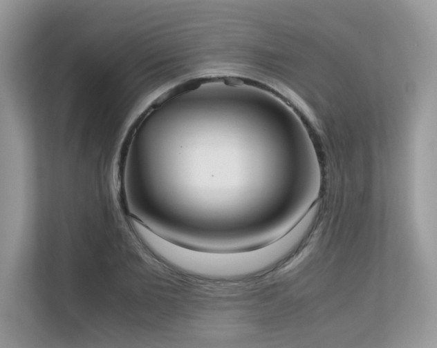 X0000110730885200906121446