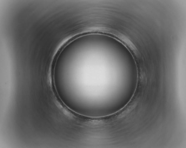 X0000110730888200906121446