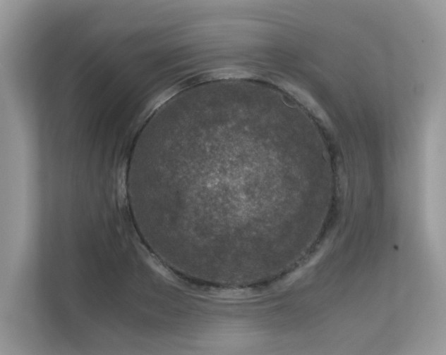 X0000110730889200906121446