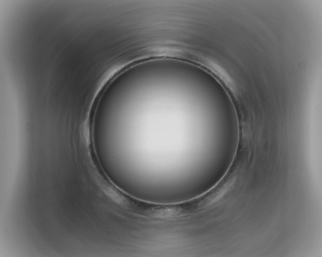 X0000110730891200906121446